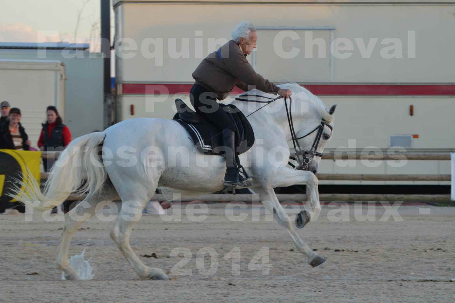 Cheval Passion 2014 - Etalon "GALAN"  blanc écurie Alain LAUZIER - Notre Sélection - 27