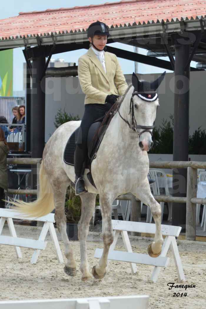 Salon Equitaine de Bordeaux en 2014 - concours Equitation de travail - Épreuve de Dressage - 04