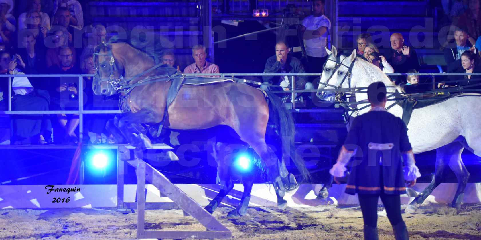 numéro de Poste HONGROISE avec 8 chevaux - Compagnie IMPULSION - Féria de BEZIERS 2016 - 3