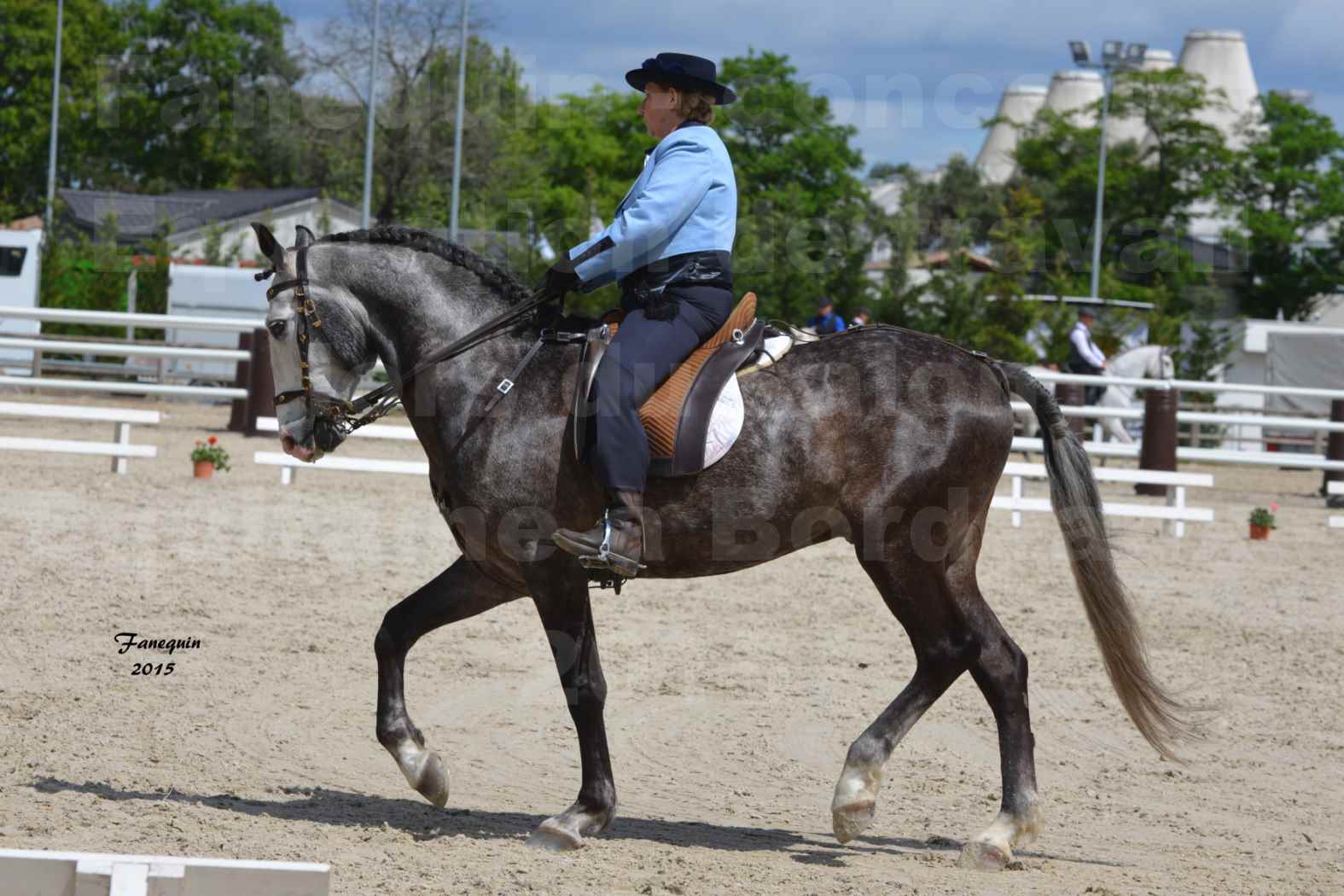 Salon Equitaine de Bordeaux 2015 - Concours d'Equitation de Travail avec chevaux Ibériques - P - 2