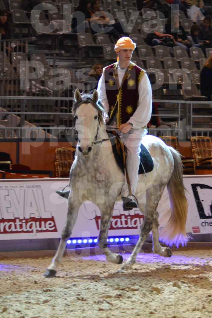 Cheval Passion 2014 - Chevaux BARBES - Notre Sélection - 34