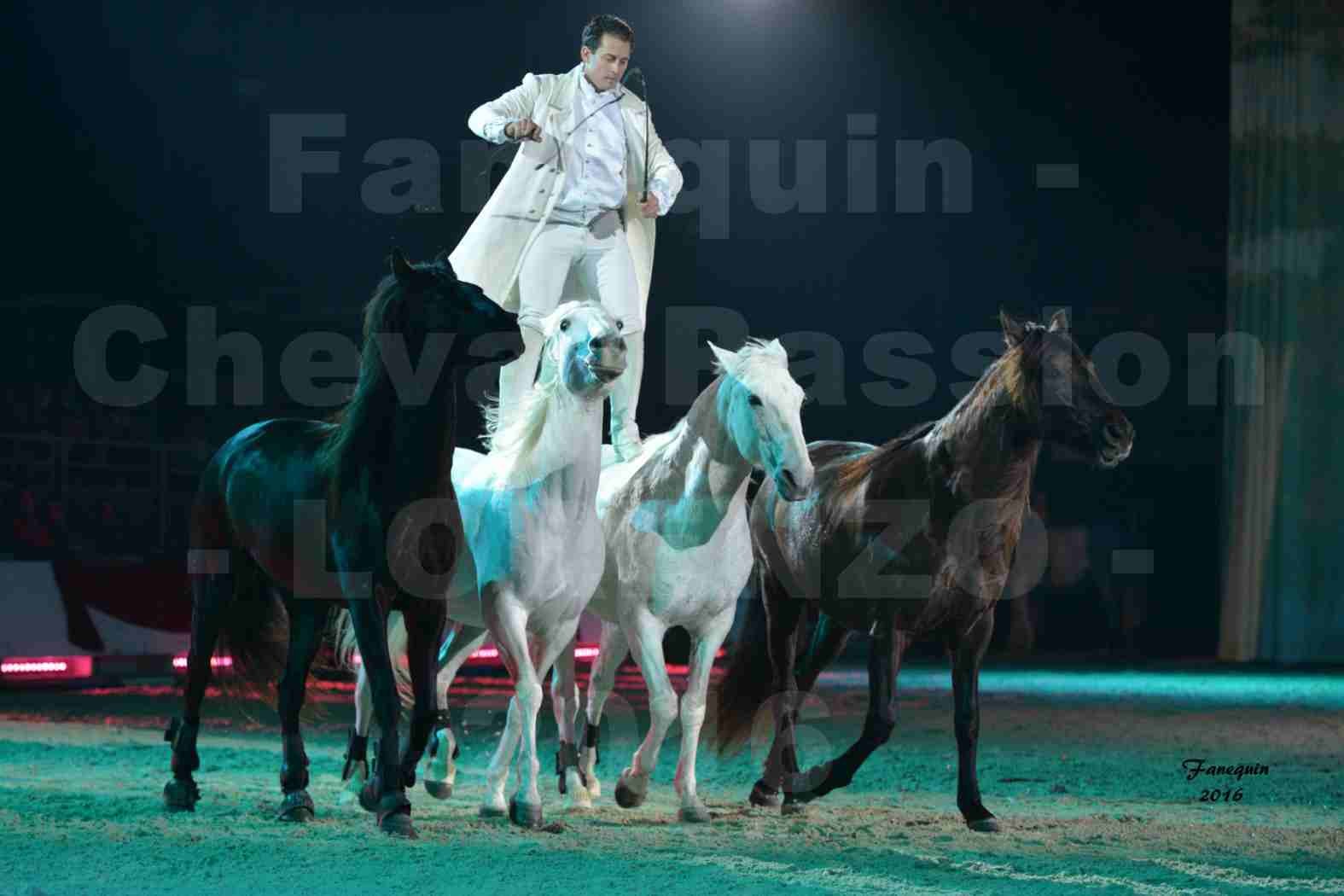 Cheval Passion 2016 - Spectacle les Crinières d'OR - LORENZO "Blanc" - représentation du 20 janvier 2016 - 13