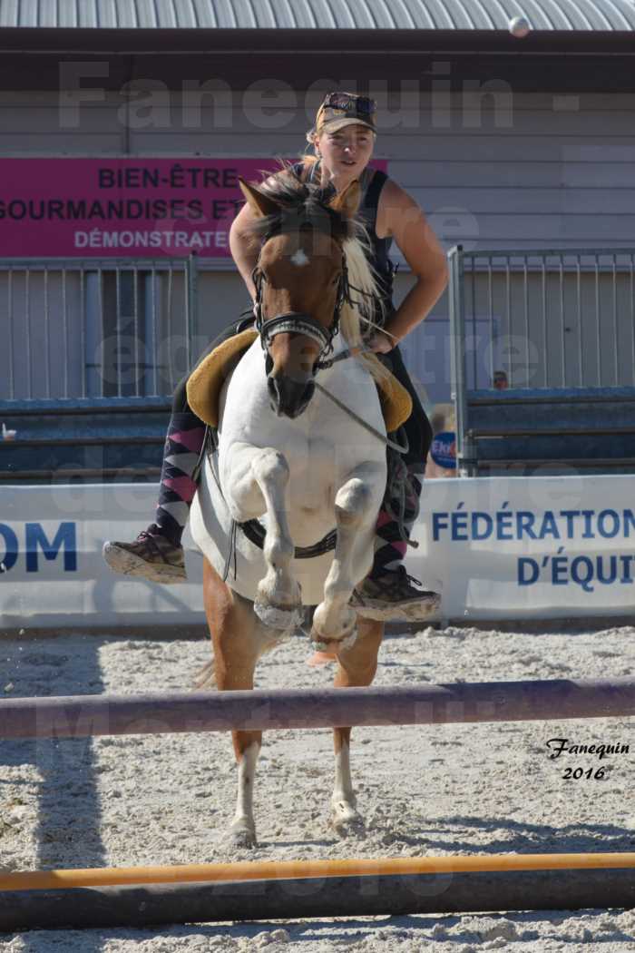 Centre équestre éphémère de la Foire de Montpellier 2016 - saut d'obstacle cavalière "clos d'Alice" - 1