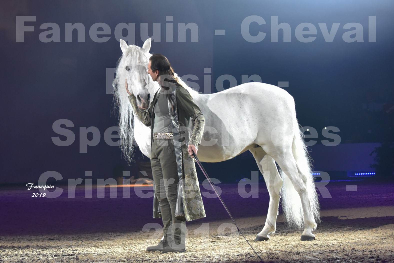 Cheval Passion 2019 - Spectacle des CRINIÈRES d'OR - Frédéric PIGNON & Cheval Gris en liberté - 2