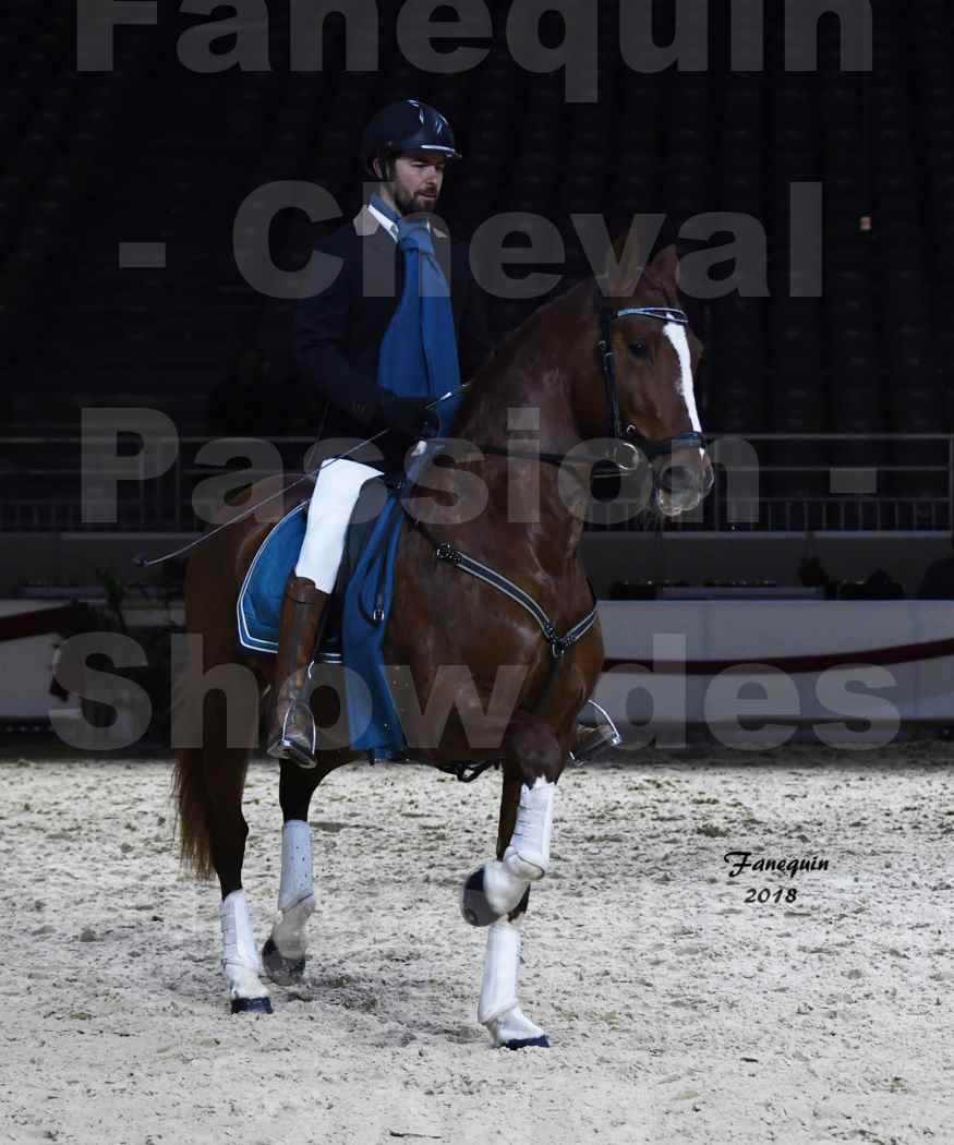 Cheval passion 2018 - Show des éleveurs - Chevaux ESPAGNOL - Notre Sélection 2 - 04