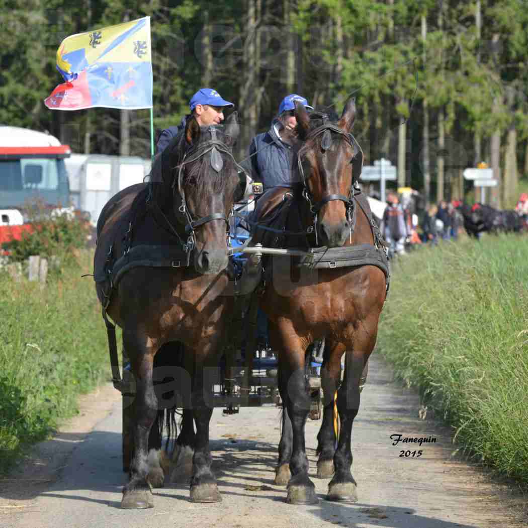 Préparatifs des chevaux avant le départ de la Route Du Beaujolais 2015 - 16
