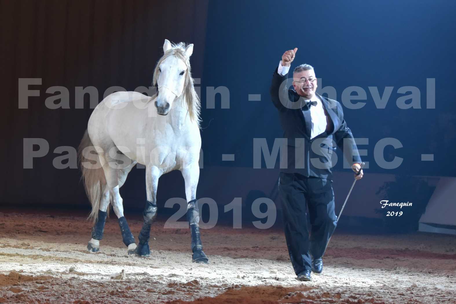 Cheval Passion 2019 - M. I. S. E. C. - Michel CASSAN & cheval en liberté - 7