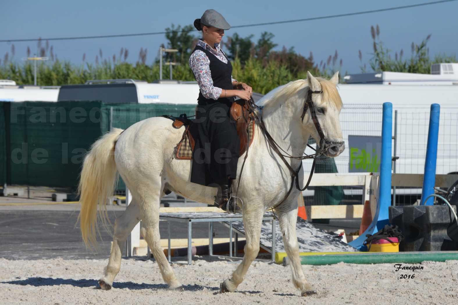 Centre équestre éphémère de la Foire de Montpellier 2016 - Samedi 08 Octobre 2016 - Cavalière Camarguaise - 3