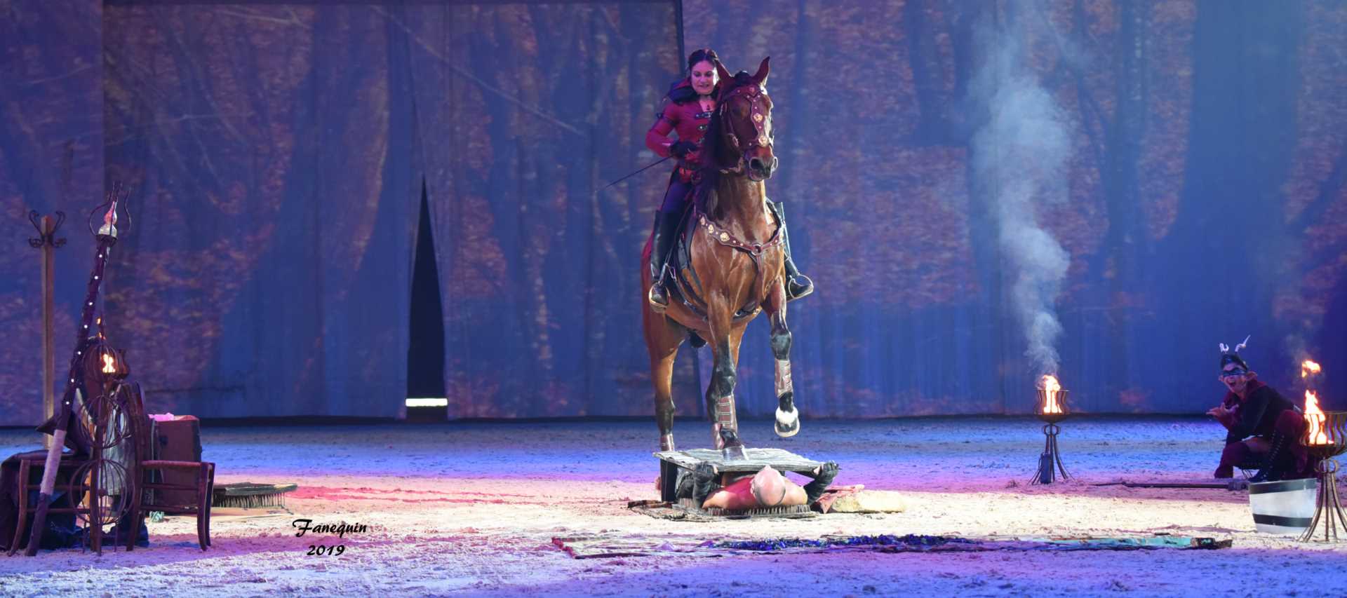 Cheval Passion 2019 - M.I.S.E.C. - Frédérique VIGNE - 14