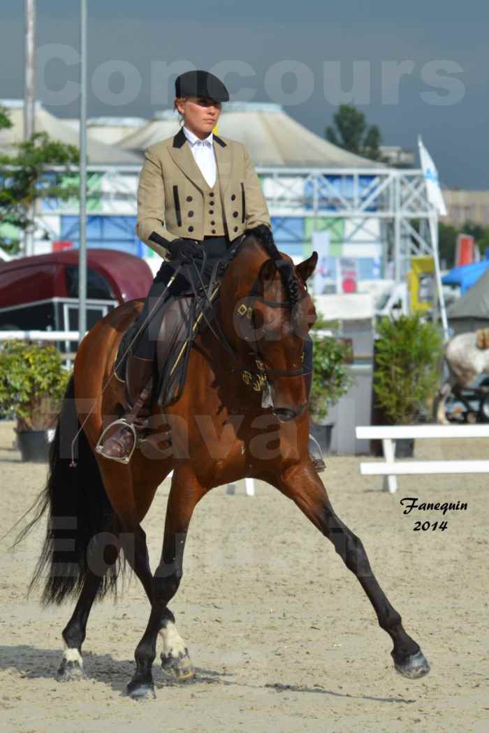 Salon Equitaine de Bordeaux en 2014 - concours Equitation de travail - Épreuve de Dressage - 08