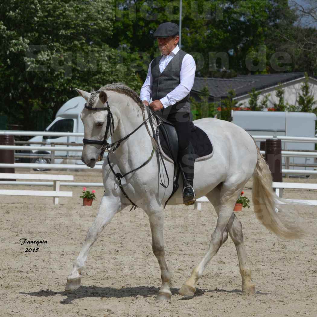 Salon Equitaine de Bordeaux 2015 - Concours d'Equitation de Travail avec chevaux Ibériques - X - 5