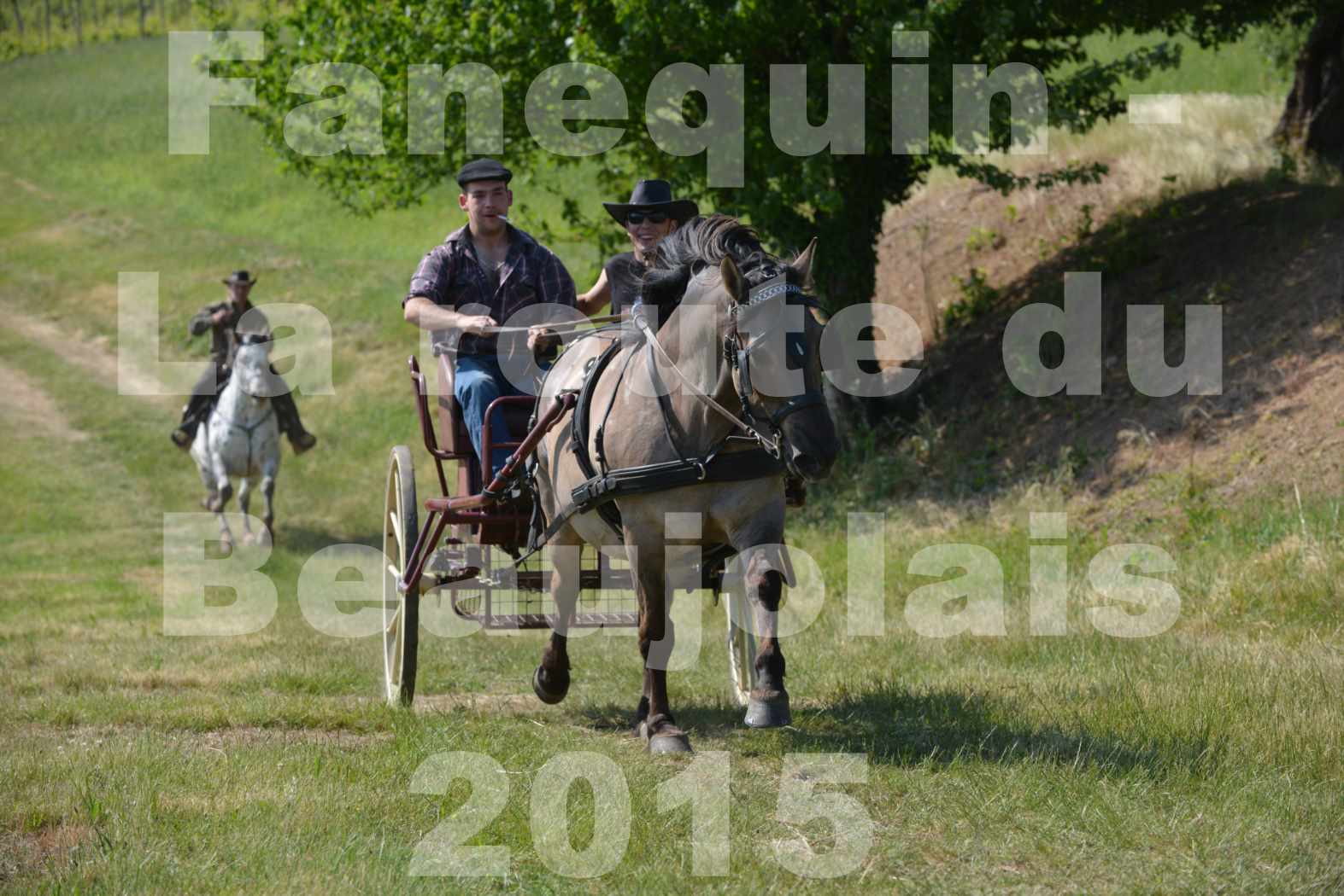 La Route Du Beaujolais 2015 - dimanche 24 mai 2015 - parcours en matinée - 73