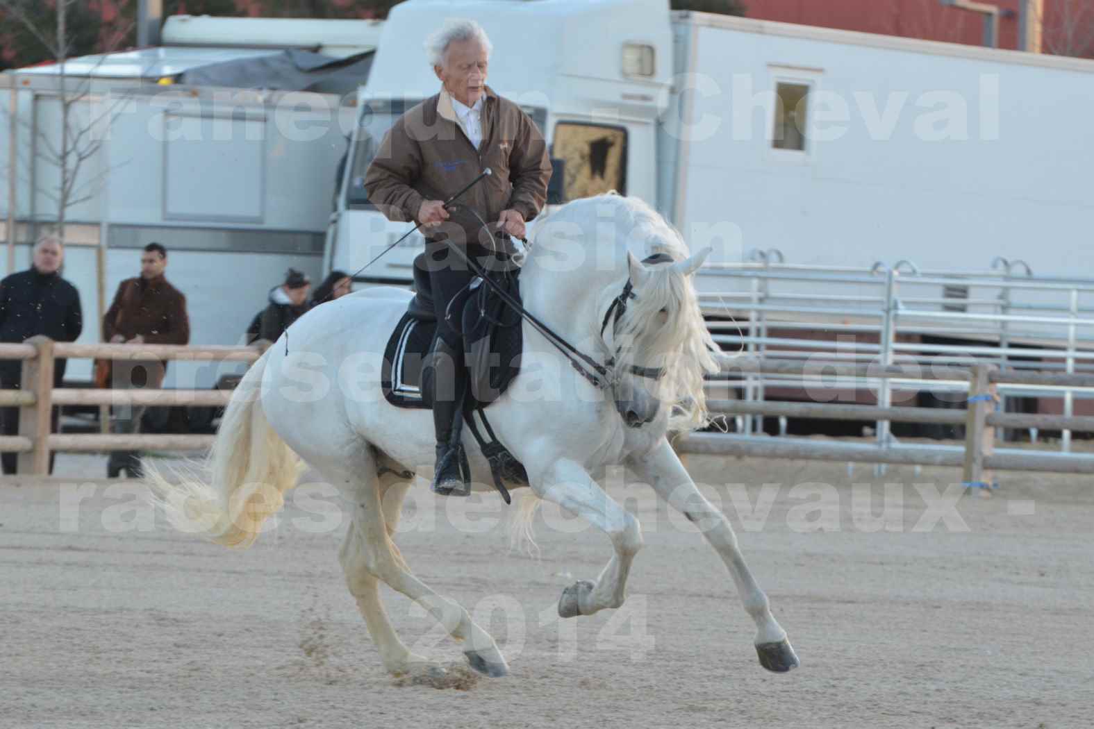 Cheval Passion 2014 - Etalon "GALAN"  blanc écurie Alain LAUZIER - Notre Sélection - 29