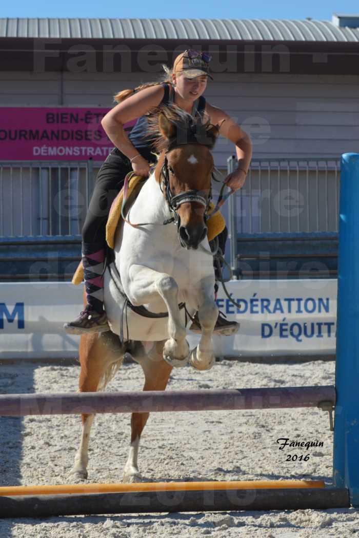 Centre équestre éphémère de la Foire de Montpellier 2016 - saut d'obstacle cavalière "clos d'Alice" - 2