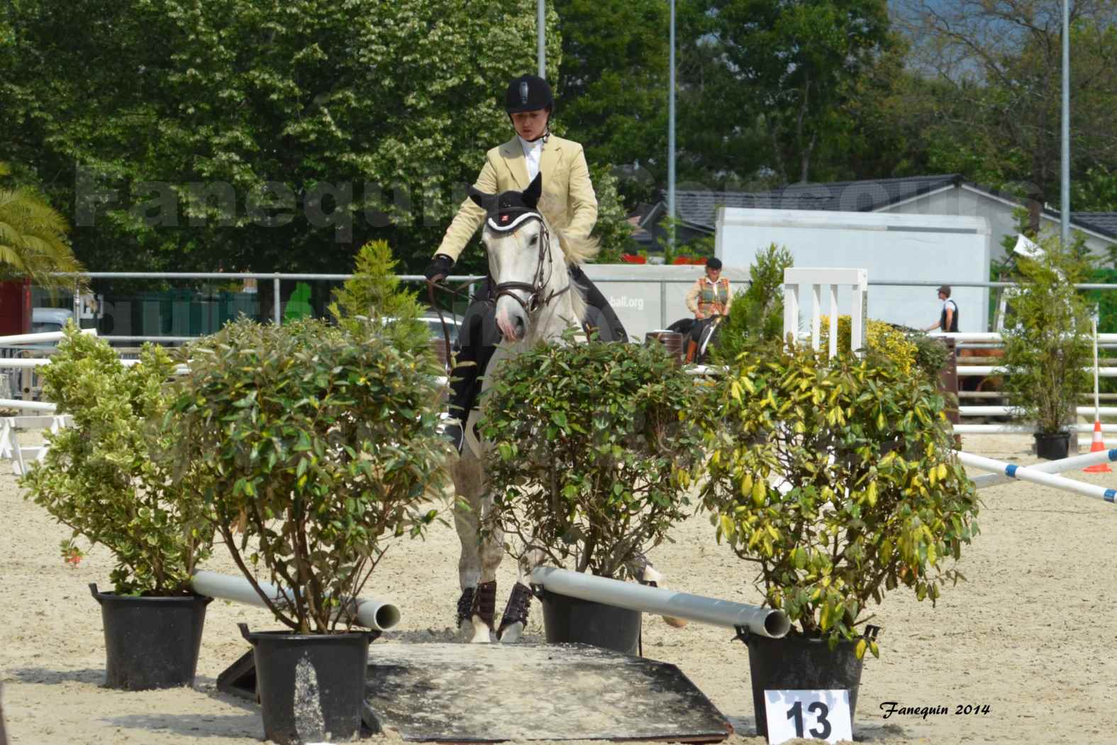 Salon Equitaine de Bordeaux en 2014 - concours Equitation de travail - Épreuve de Maniabilité chronométré - B - 10