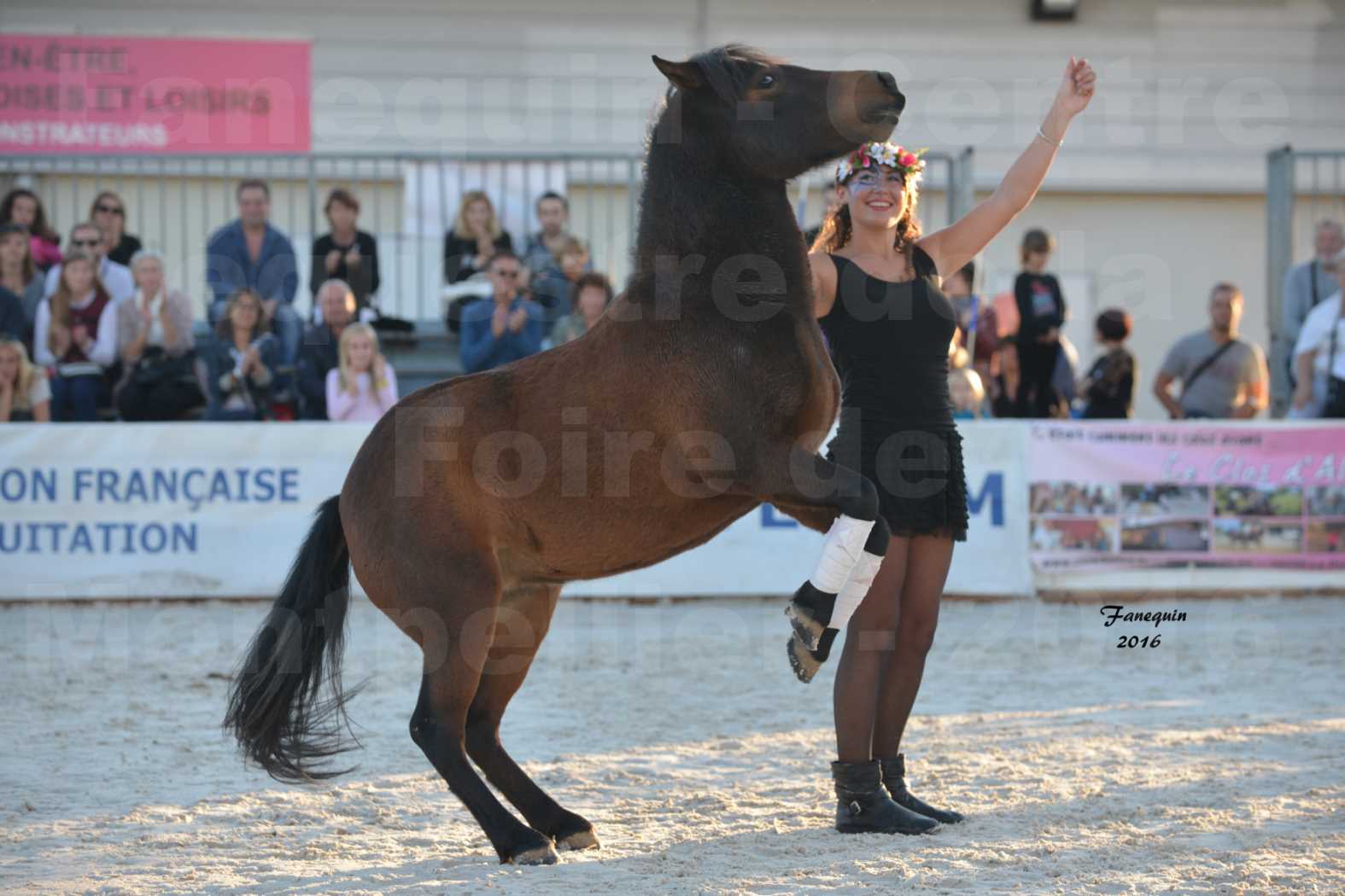 Centre équestre éphémère de la Foire de Montpellier 2016 - Samedi 15 Octobre 2016 - Nocturne - 