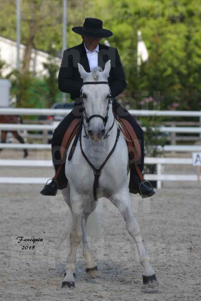 Salon Equitaine de Bordeaux 2015 - Concours d'Equitation de Travail avec chevaux Ibériques - K - 1