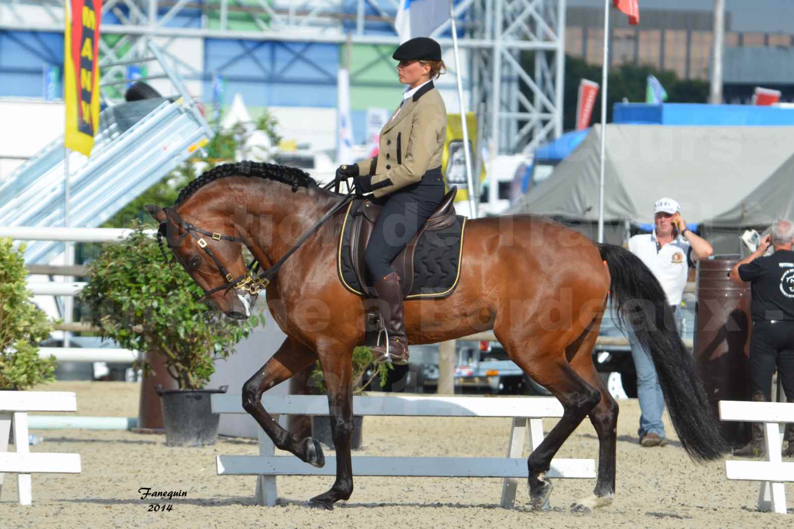 Salon Equitaine de Bordeaux en 2014 - concours Equitation de travail - Épreuve de Dressage - 14