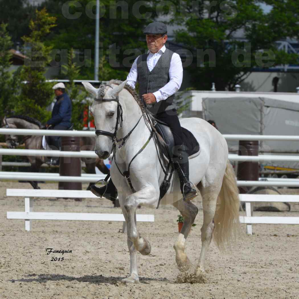Salon Equitaine de Bordeaux 2015 - Concours d'Equitation de Travail avec chevaux Ibériques - X - 4