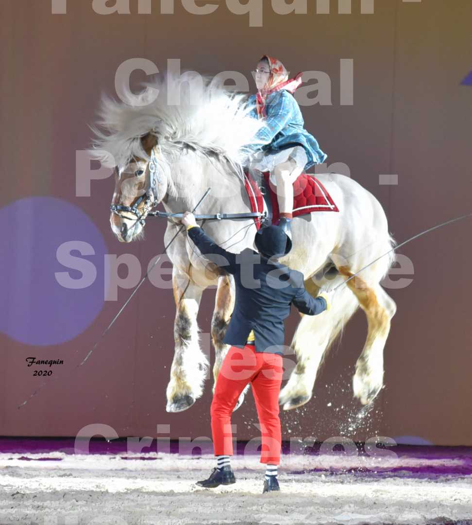 Cheval Passion 2020 - Les Crinières d'OR - Les COMTOIS en FOLIE - 4