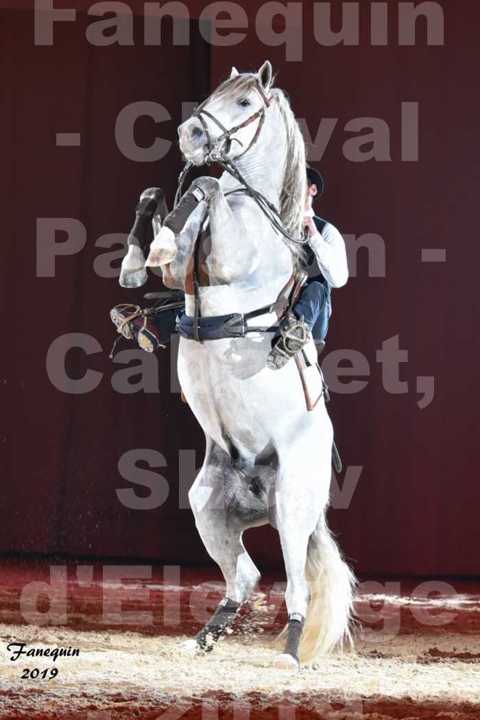 Cheval Passion 2019 - Présentation de PAS DE 2 CAMARGUE - Elia DOMINGUEZ & Grégoire SIMON