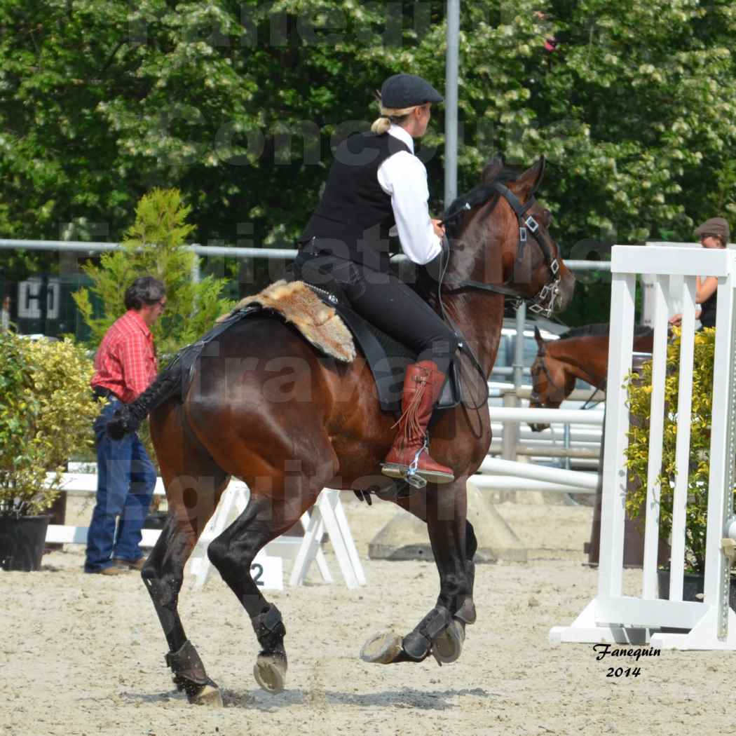 Salon Equitaine de Bordeaux en 2014 - concours Equitation de travail - Épreuve de Maniabilité chronométré - E - 05