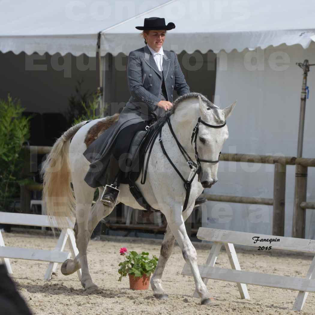 Salon Equitaine de Bordeaux 2015 - Concours d'Equitation de Travail avec chevaux Ibériques - W - 3