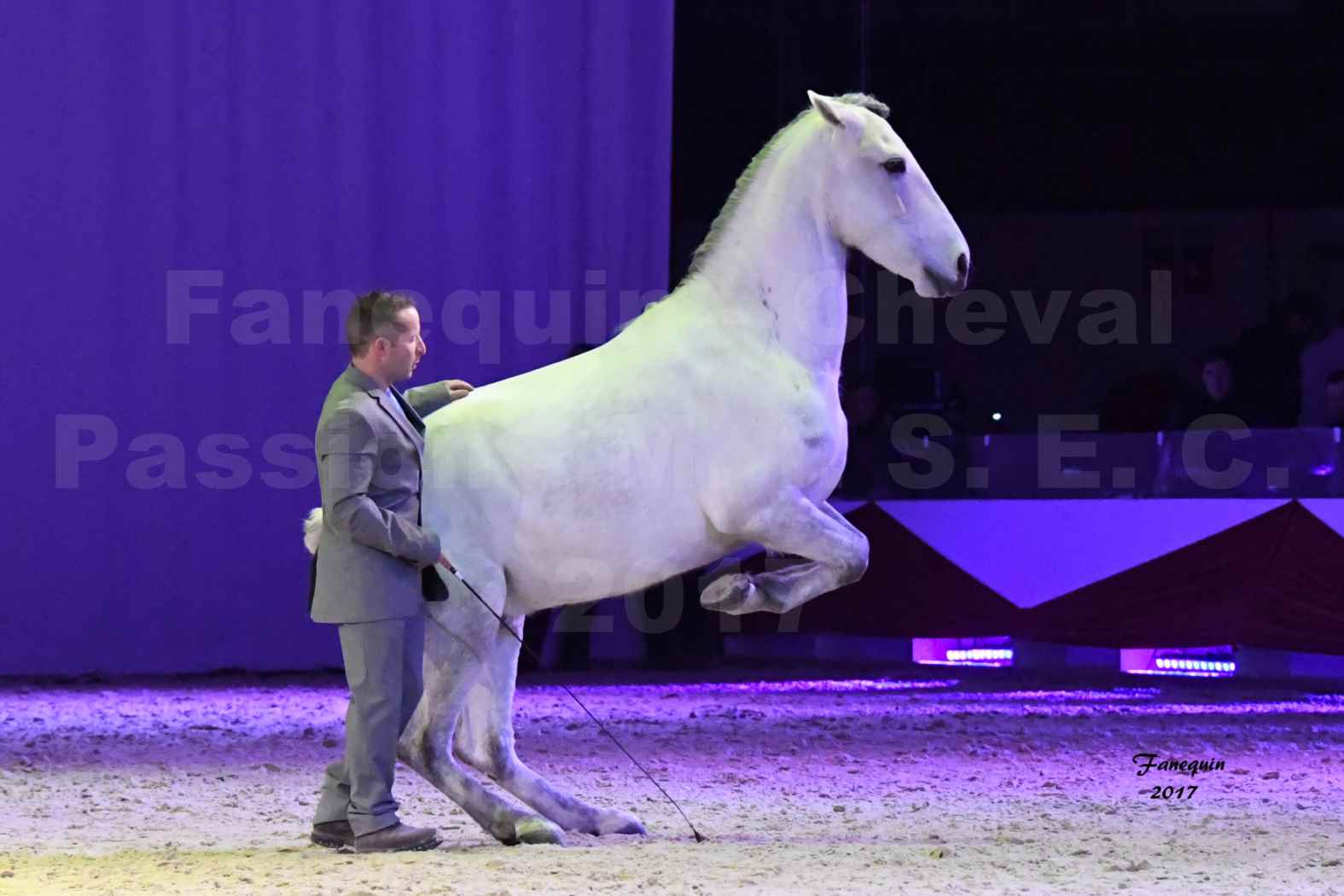 Cheval Passion 2017 - M. I. S. E. C. - Ludovic LONGO & 1 cheval en liberté - 12