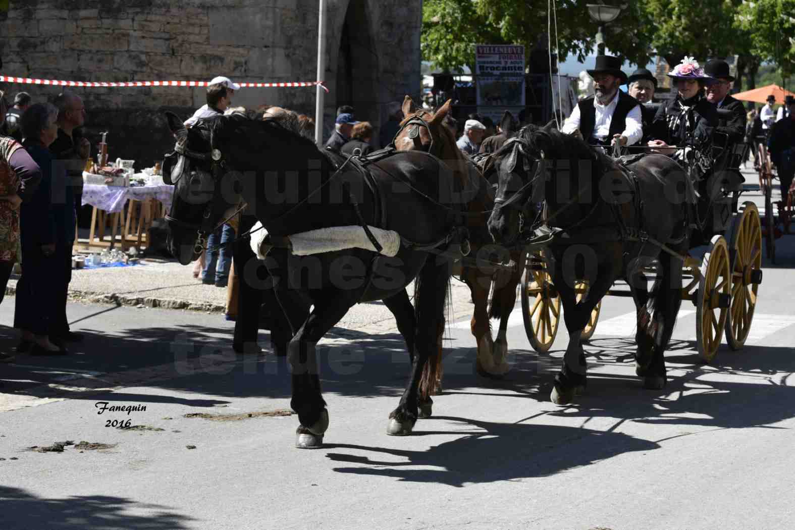 Défilé de calèches de 1900 dans les rues de Villeneuve d'Aveyron le 15 mai 2016 - Attelage en arbalète de 3 chevaux - calèche 4 roues - 9