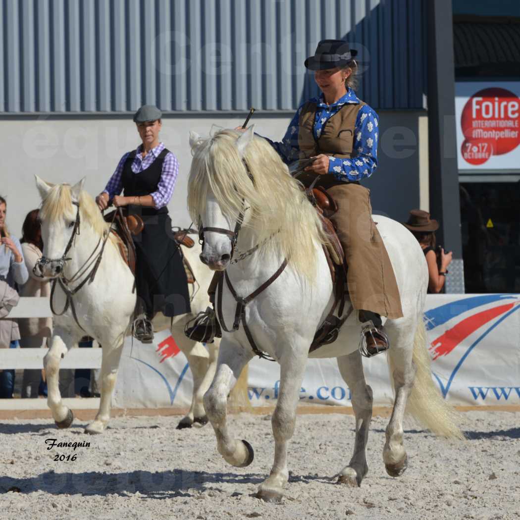 Centre équestre éphémère de la Foire de Montpellier 2016 - Dimanche 09 Octobre 2016 - Cavalières Camarguaises - 2