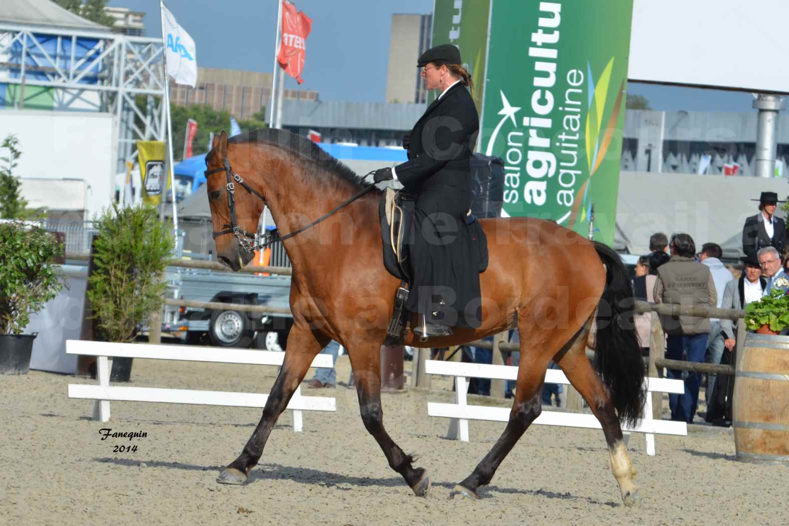 Salon Equitaine de Bordeaux en 2014 - concours Equitation de travail - Épreuve de Dressage - 05