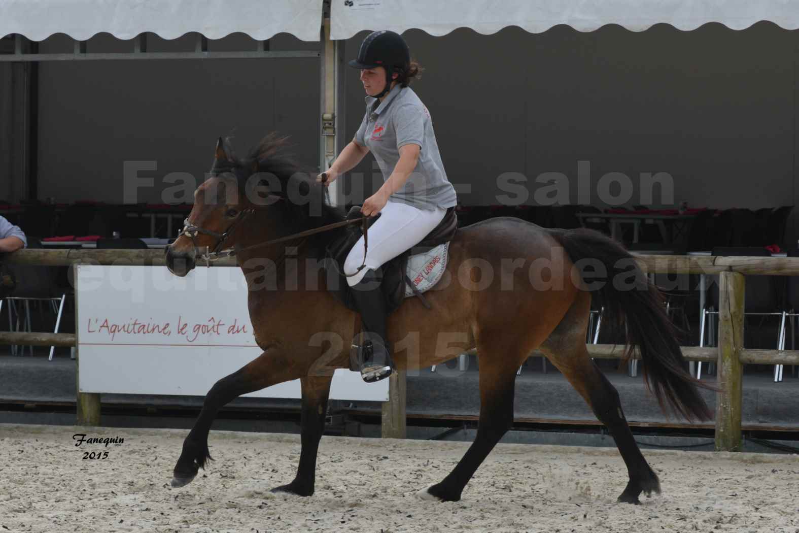 Salon Equitaine de Bordeaux 2015 - Concours de Poneys Landais reprises montés - 05