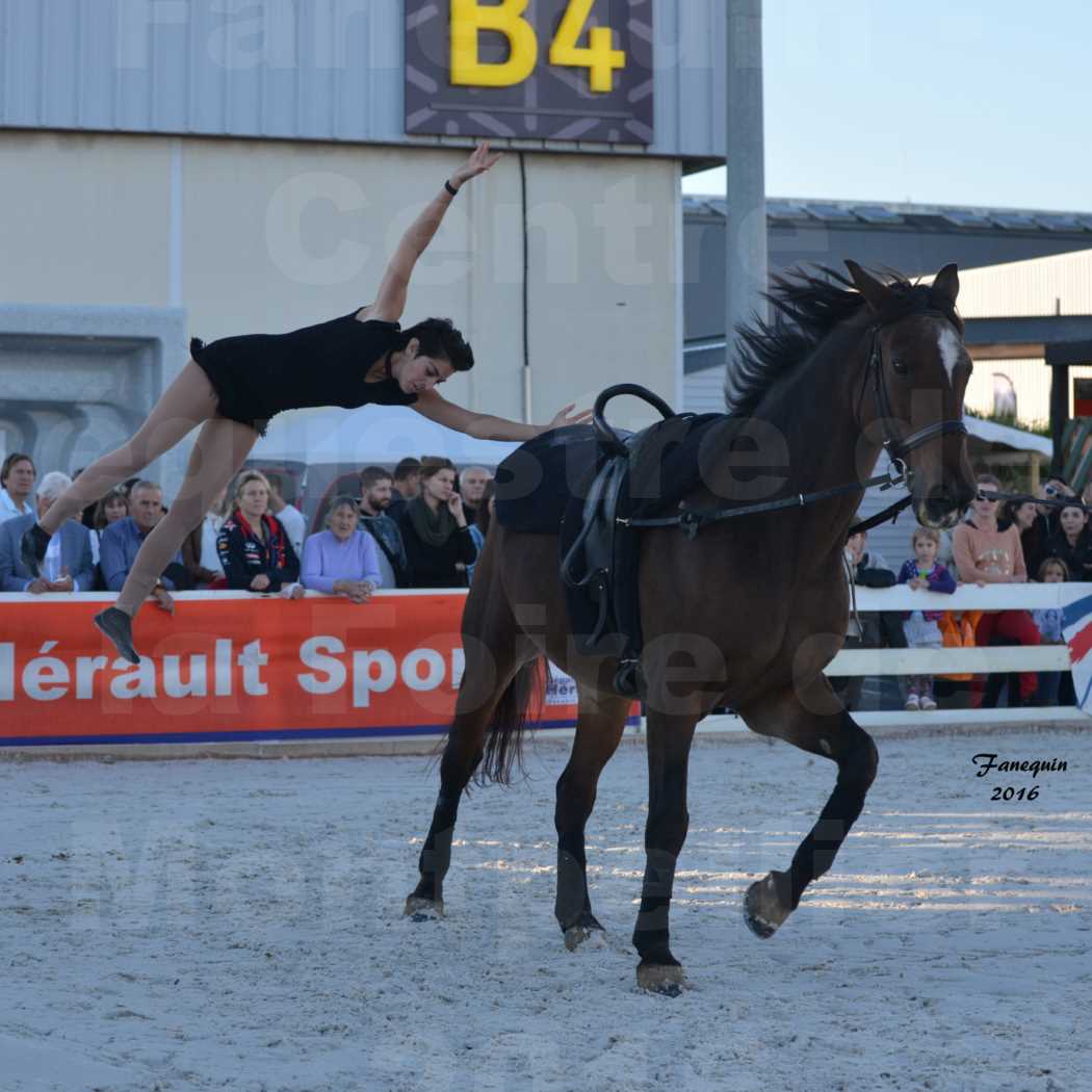 Centre équestre éphémère de la Foire de Montpellier 2016 - Samedi 15 Octobre 2016 - Nocturne - Voltigeuses