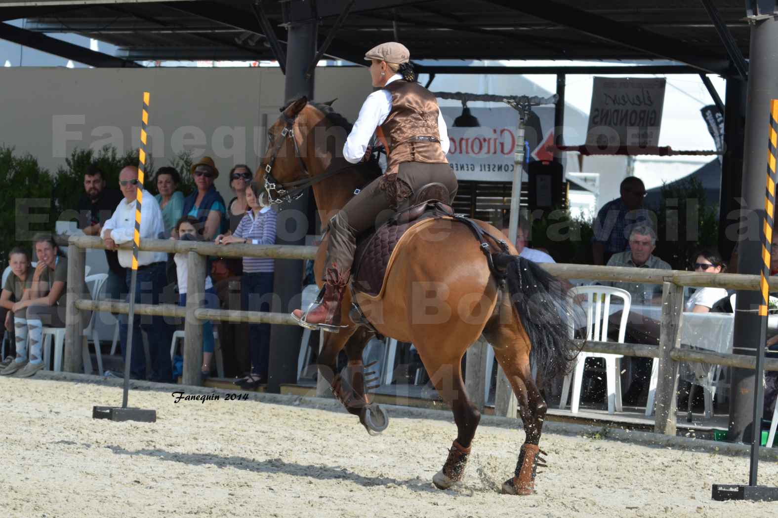 Salon Equitaine de Bordeaux en 2014 - concours Equitation de travail - Épreuve de Maniabilité chronométré - N - 05