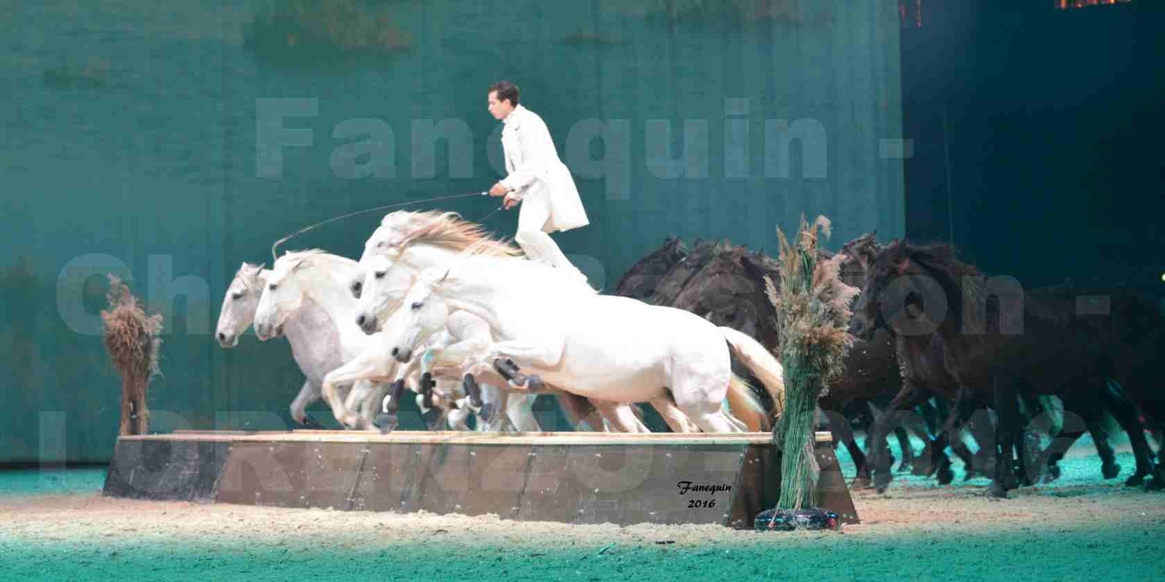 Cheval Passion 2016 - Spectacle les Crinières d'OR - LORENZO "Blanc" - représentation du 23 janvier 2016 - 25