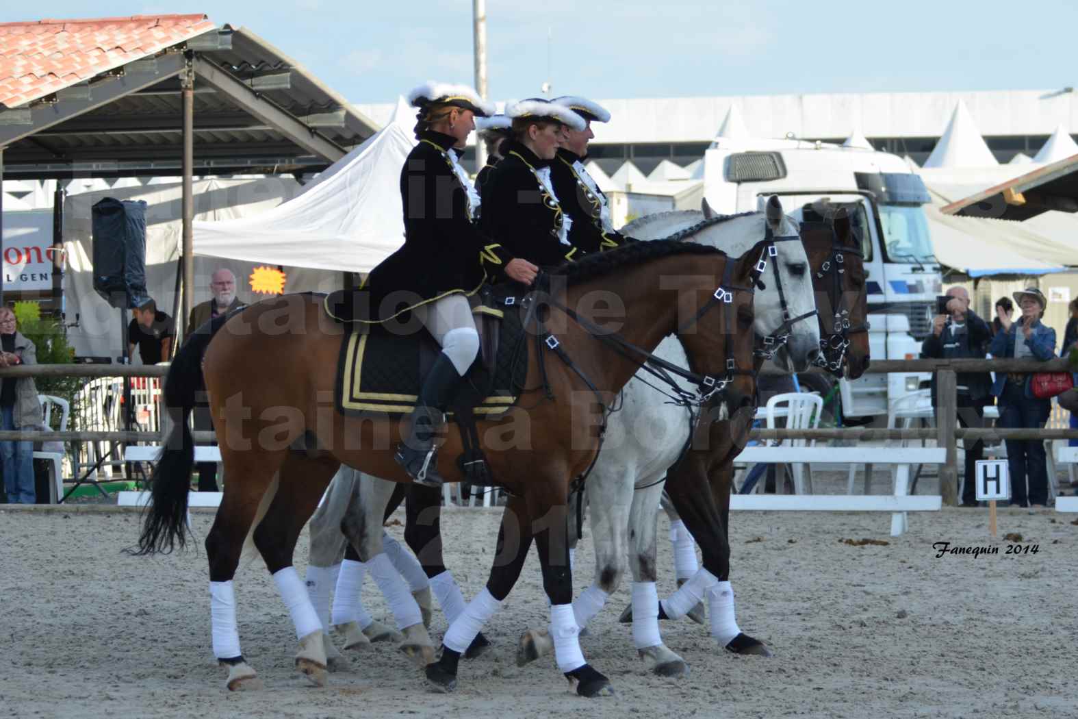 Carrousel de cavalières Equitation de travail lors du salon "Equitaine" à Bordeaux en 2014 - 68