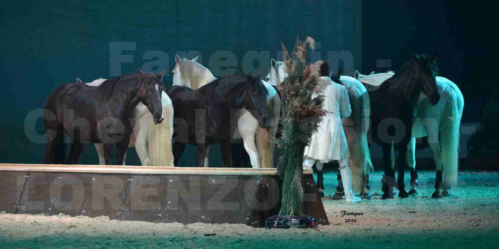 Cheval Passion 2016 - Spectacle les Crinières d'OR - LORENZO "Blanc" - représentation du 23 janvier 2016 - 19