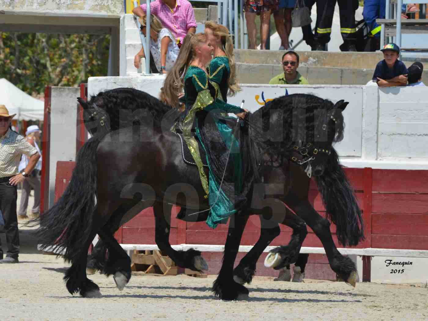 Féria du cheval à Méjanes en 2015 - Sylvie WILLMS - 13