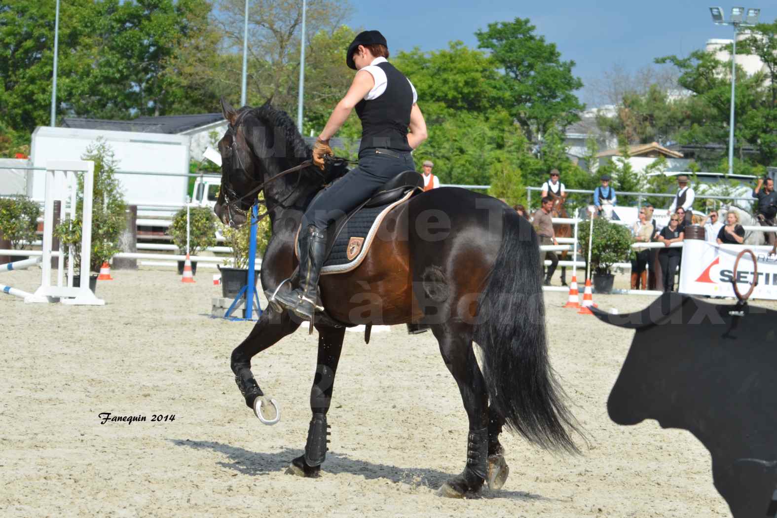 Salon Equitaine de Bordeaux en 2014 - concours Equitation de travail - Épreuve de Maniabilité chronométré - M - 23