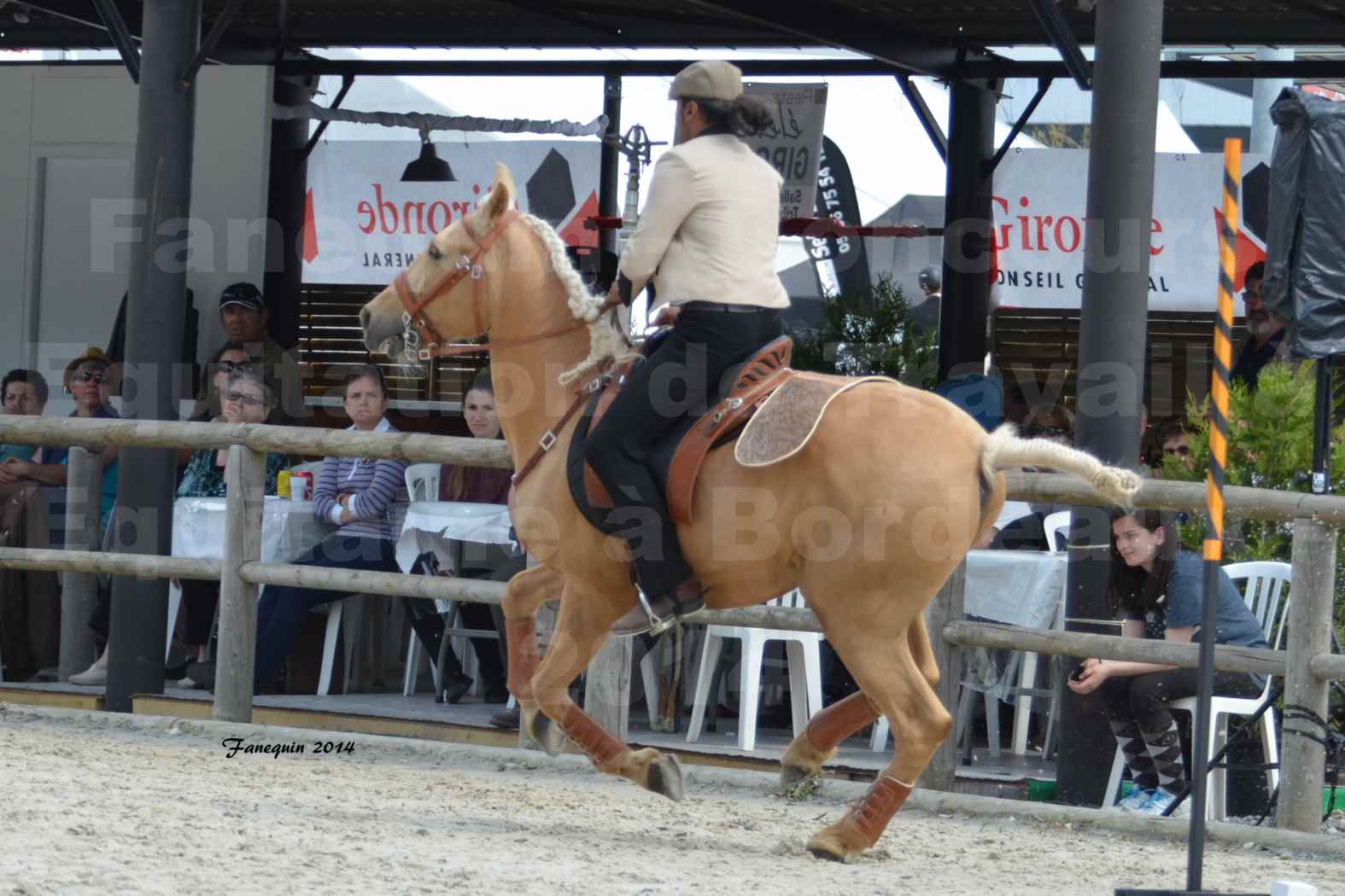 Salon Equitaine de Bordeaux en 2014 - concours Equitation de travail - Épreuve de Maniabilité chronométré - D - 03