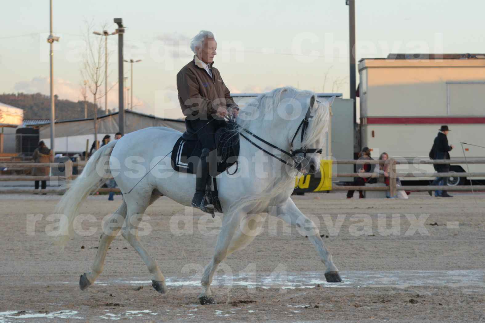 Cheval Passion 2014 - Etalon "GALAN"  blanc écurie Alain LAUZIER - Notre Sélection - 22