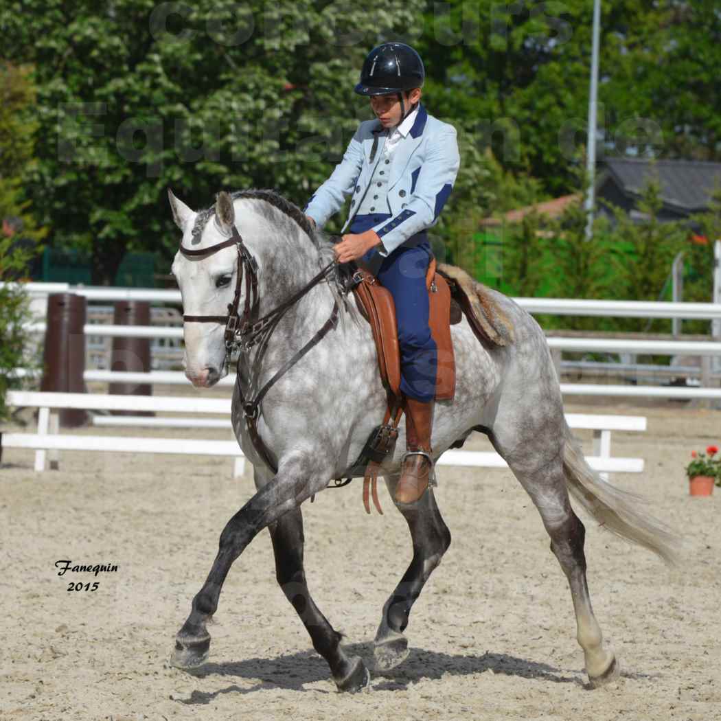 Salon Equitaine de Bordeaux 2015 - Concours d'Equitation de Travail avec chevaux Ibériques - S - 6