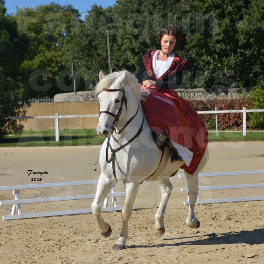 Concours Élégance d'Amazone au Haras d'UZES en Octobre 2016 - Léa CONTE - 05