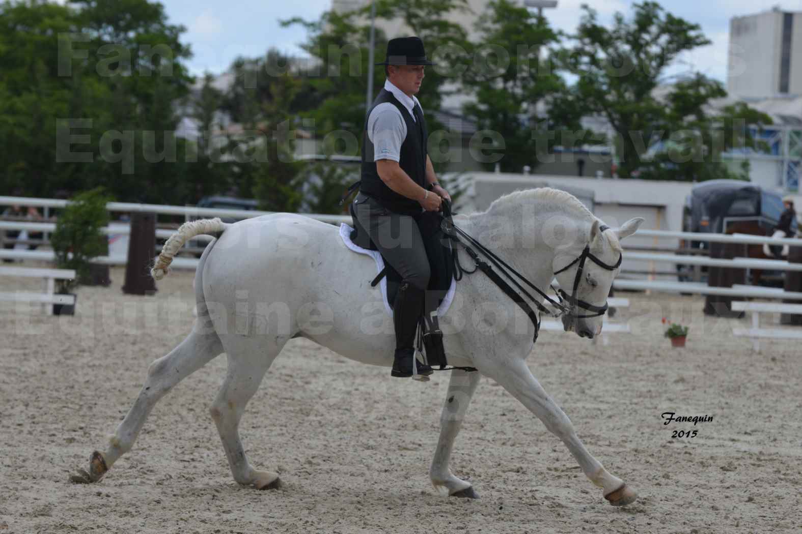 Salon Equitaine de Bordeaux 2015 - Concours d'Equitation de Travail avec chevaux Ibériques - Y - 2