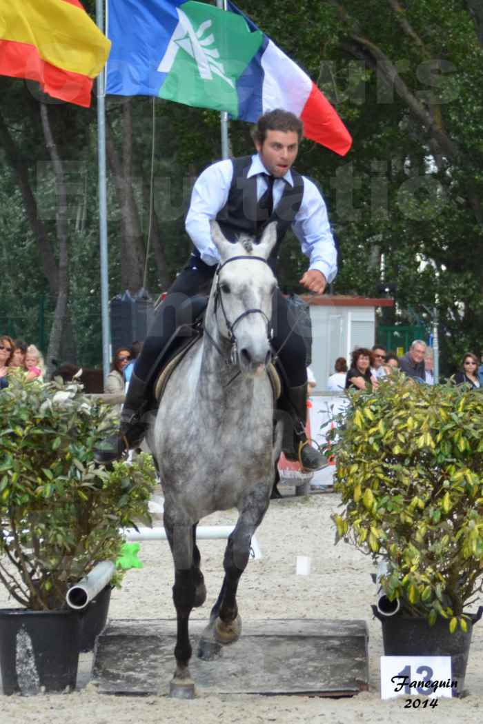 Salon Equitaine de Bordeaux en 2014 - concours Equitation de travail - Épreuve de Maniabilité chronométré - J - 3