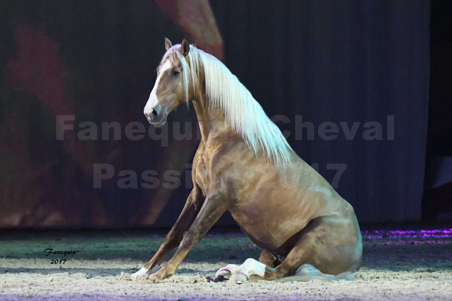 Cheval Passion 2017 - gala des Crinières d'OR - GARI ZOHER - 07