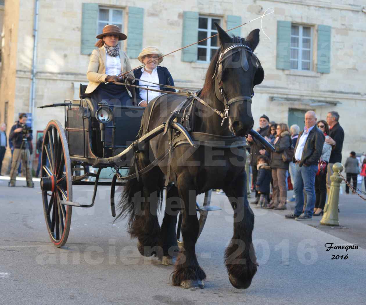 Défilé d'attelages anciens dans les rues d'UZES en octobre 2016 - simple cheval FRISON