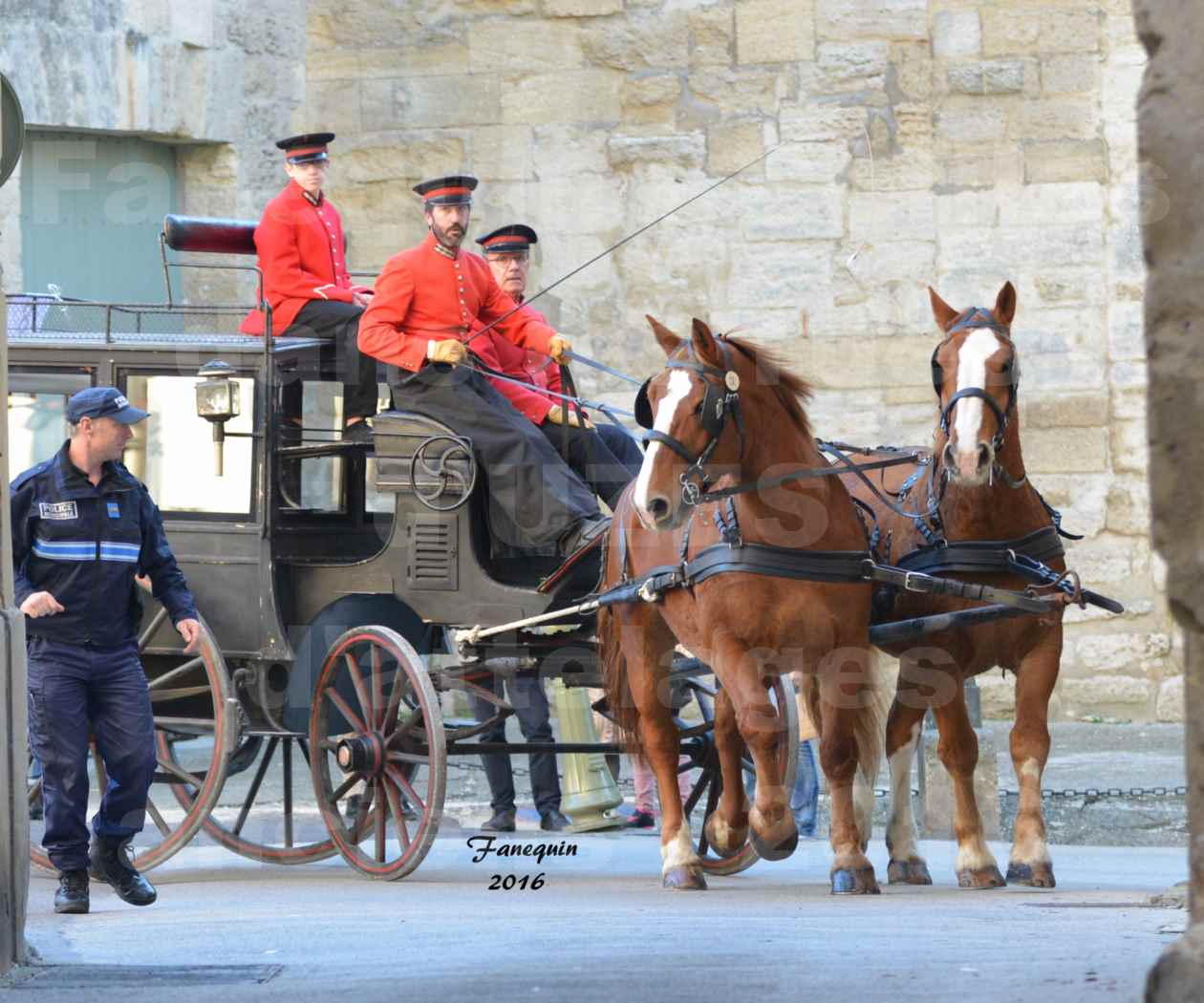 Défilé d'attelages anciens dans les rues d'UZES en octobre 2016 - Paire chevaux demi lourd - 1