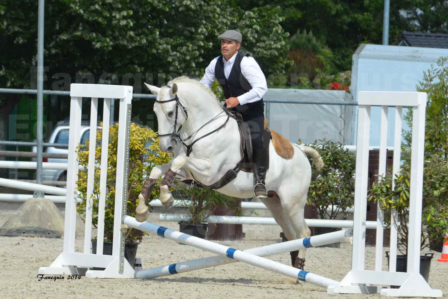 Salon Equitaine de Bordeaux en 2014 - concours Equitation de travail - Épreuve de Maniabilité chronométré - H - 08