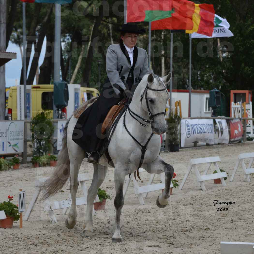 Salon Equitaine de Bordeaux 2015 - Concours d'Equitation de Travail avec chevaux Ibériques - V - 12